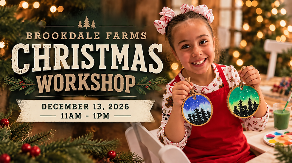 Brookdale Farms Christmas Workshop