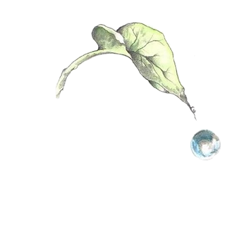 image-14.png