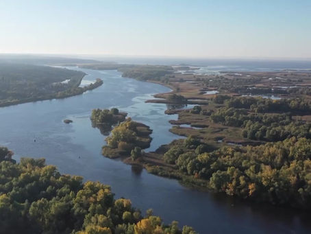 Вітання з Днем Конституції від Анатолія Куртєва