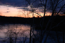 DSC_0315.JPG