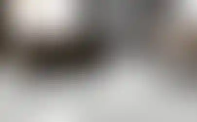 15274072.webp