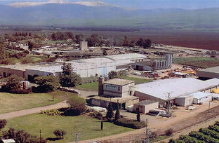 המפעל---2005.jpg