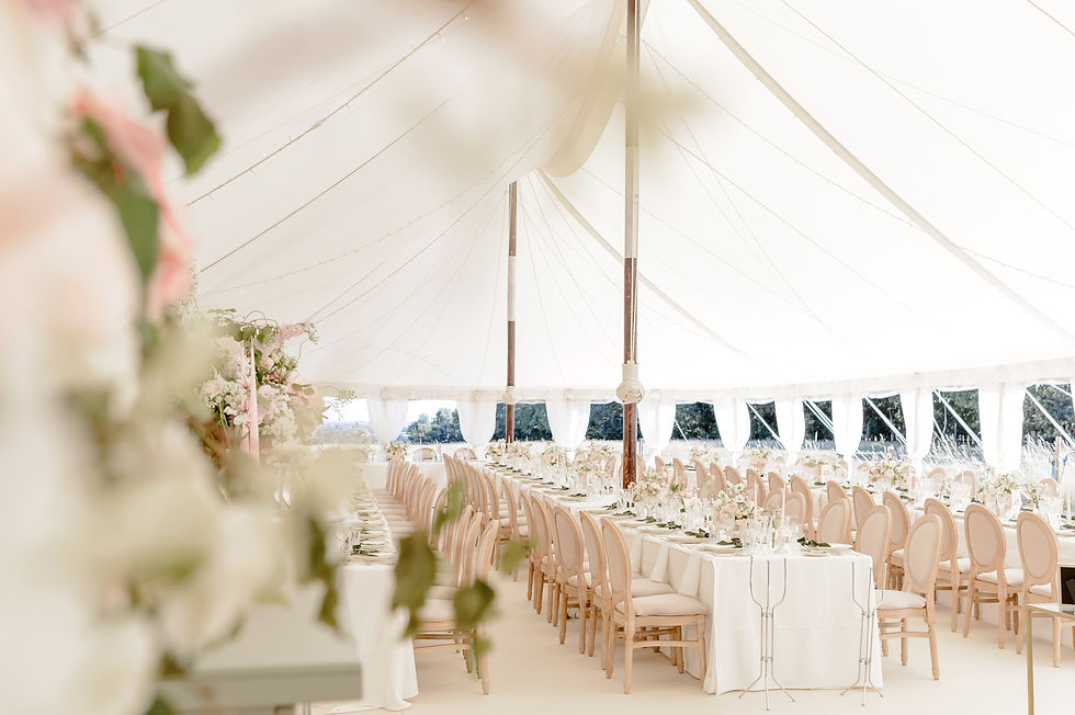 niamh & oliver wedding 435.jpg