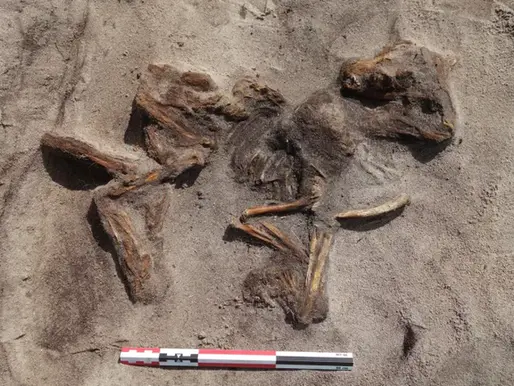 Une tombe en bateau de l'ère viking découverte sur une île du nord de la Norvège