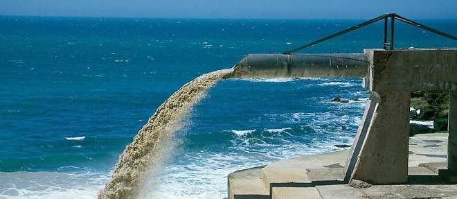 Robert Schoen / Biosphoto / Biosphoto via AFP
