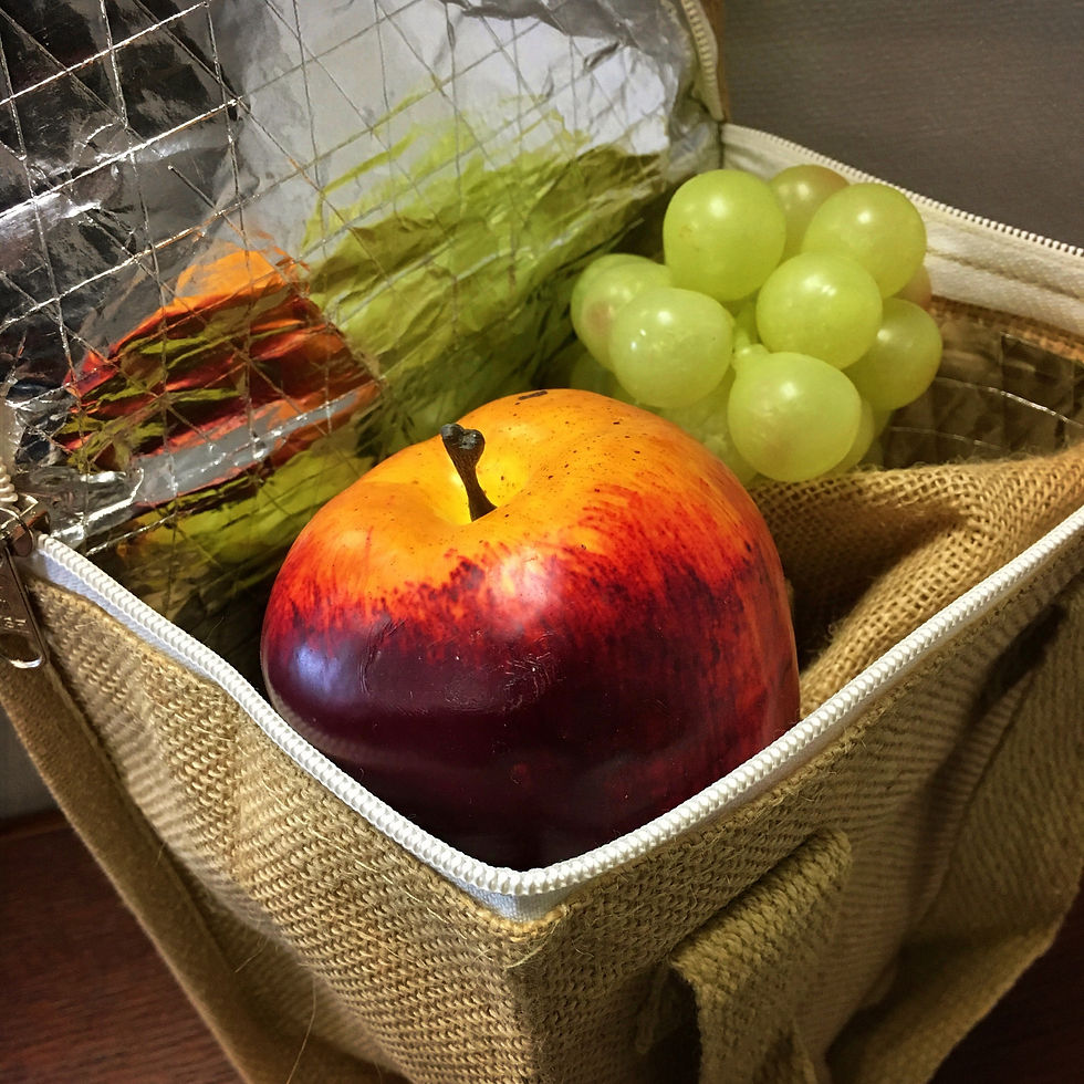 Thumbnail: Hot/Cold Lunch Bags