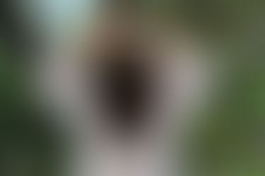 It’s All About the Embroidered Details