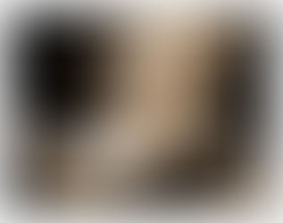 Base para construção de texto