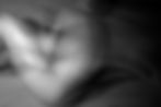 UNE ABSENCE