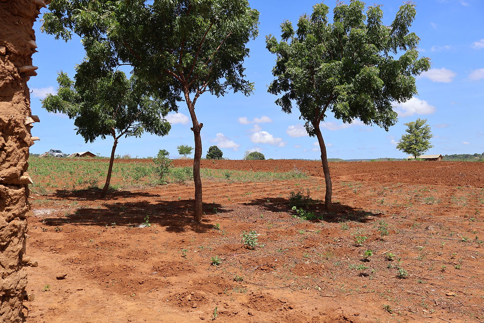 Land saved for the future