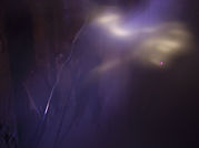11055727_824859670945966_476104483174825463_o.jpg