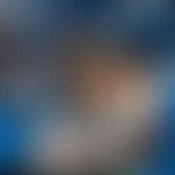 Charlotte FC Stock Up, Stock Down: A rotten time in the Big Apple