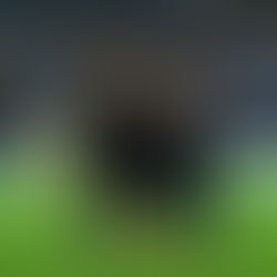 Everything you need to know for Charlotte FC's upcoming US Open Cup matchup