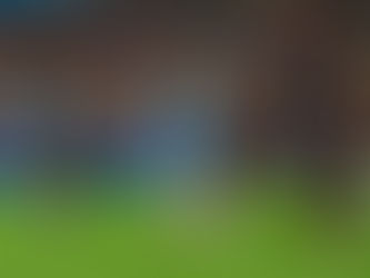 Charlotte FC's predicted starting XI vs Red Bull New York