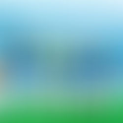 Charlotte FC’s Predicted Starting XI vs Inter Miami