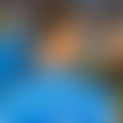 Charlotte FC's senior roster heading into the winter window