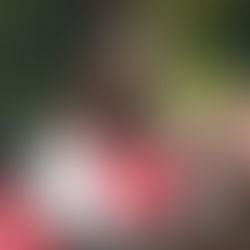 Tariqe Fosu on trial at Charlotte FC