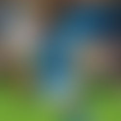 Charlotte FC’s Stock Up, Stock Down: A late goal from Zaha earns all three points for Charlotte, but his fifth yellow card of the season will cause him to miss the next game