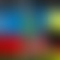 Charlotte FC’s Projected XI against the Portland Timbers