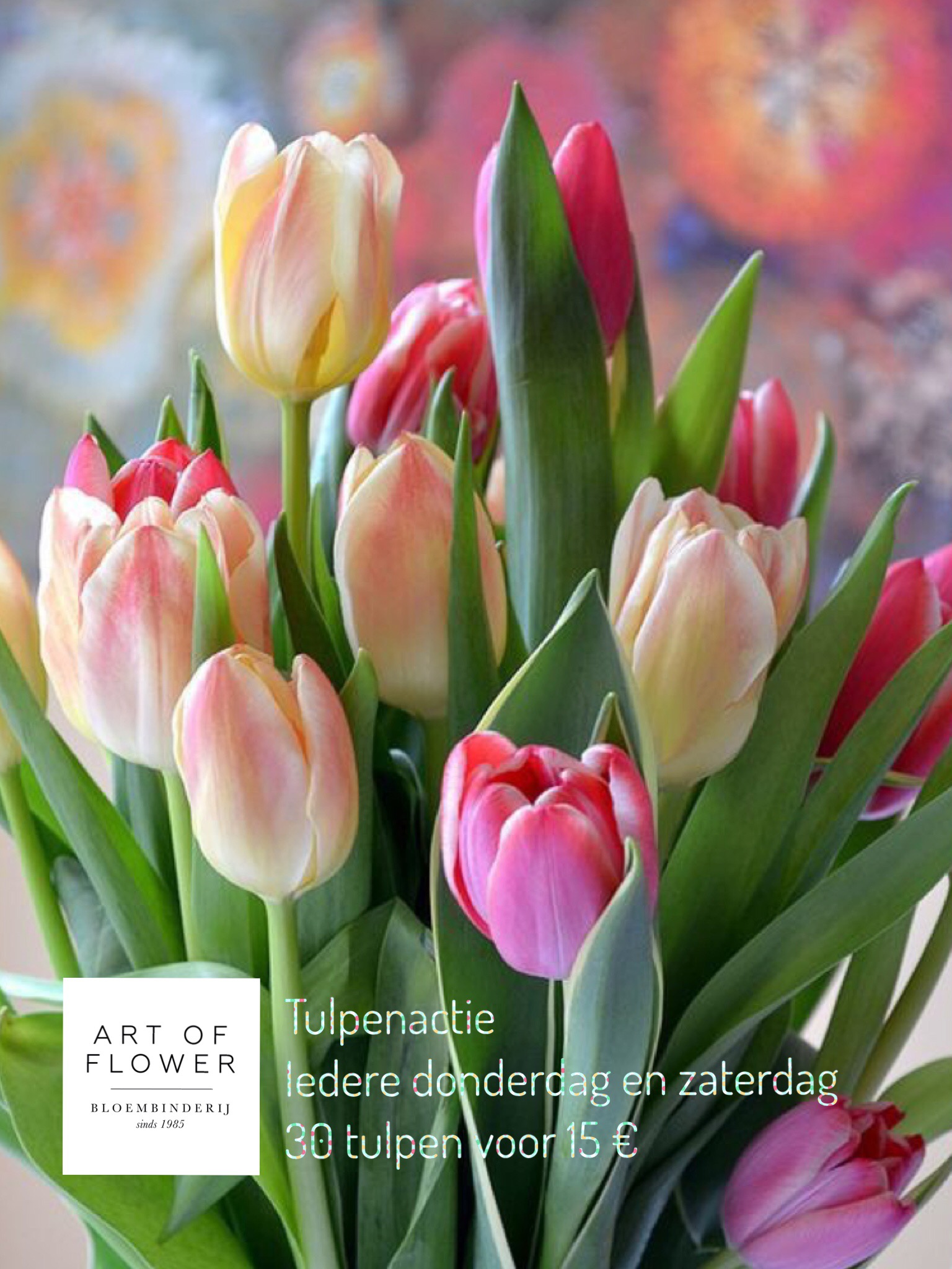 Tulpen