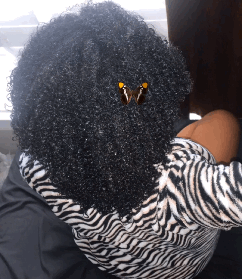 Transitioning Hair