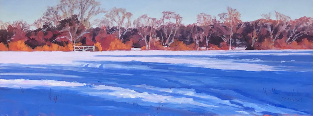 Judi Schubert_Snowy Hay Field.jpg