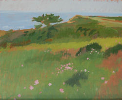 Aquinnah Mallow_Liz Taft