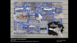 WT Beach Art Final Presnetation.033