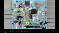 WT Beach Art Final Presnetation.028