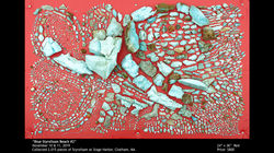 WT Beach Art Final Presnetation.007