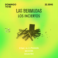 ↗ Flyers para Las Bermudas. 2021