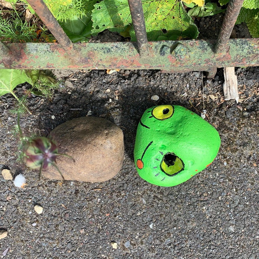 Social and therapeutic horticulture, painted stones
