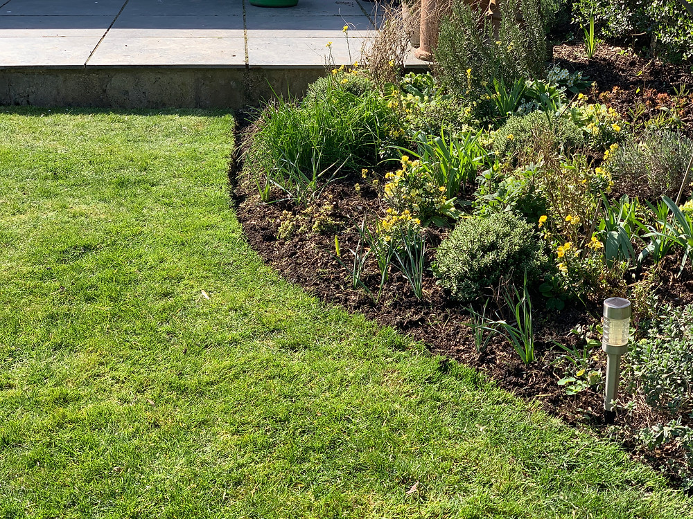 Things To Do In The Garden During Lockdown Day 9 Edge Your Lawn