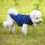 Thumbnail: Dogs Winter Warm Vest