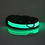 Thumbnail: LED Light Up Dog Collar