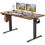 Thumbnail: Electric Height Adjustable Standing Desk,Sit to Stand Ergonomic