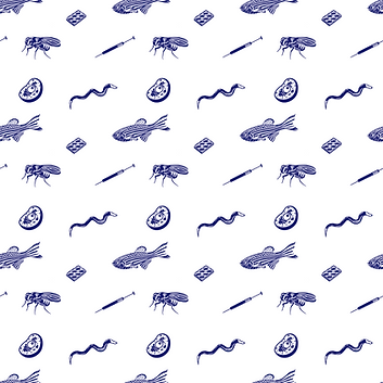 composition fish.png