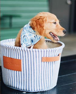 Screen Shot 2019-01-22 at 5.04.08 PM