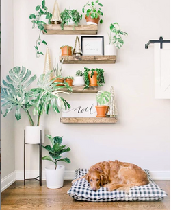 Screen Shot 2019-01-22 at 5.02.42 PM