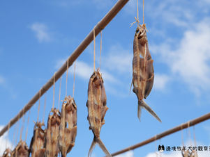 【蘭嶼遊記01】必吃飛魚卵香腸、品嚐特色林投果汁!