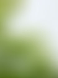 工作滿檔好累?善用「微休息」,用留白提升效率與創意