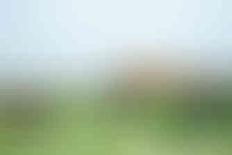 行經高屏溪邊的火車