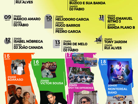 Cartaz das novenas e animação