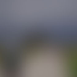 A vélo vers le Mont St Michel!