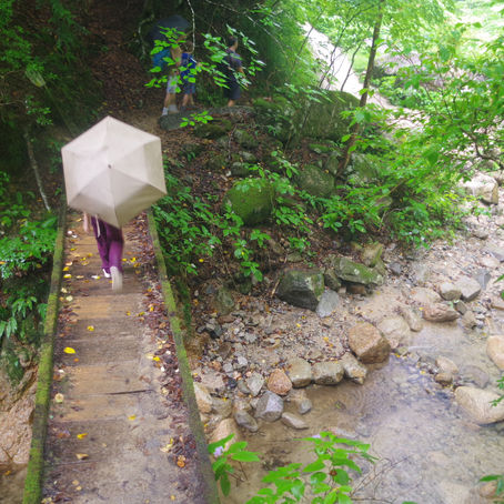 Randonnée de Magome à Tsumago, sous le signe de l'eau!