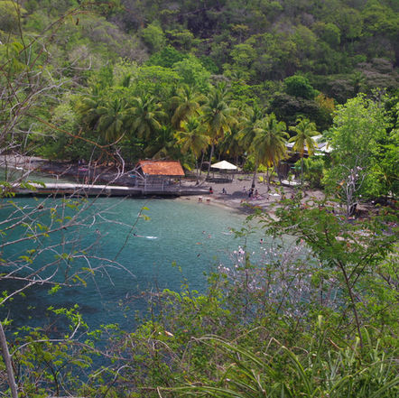Petits Trésors du Sud Ouest (de la Martinique bien sûr!)