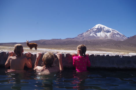 bolivie sajama lama gigognes sources chaudes volcans rencontres