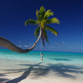 PK 9 : au bout du cocotier...