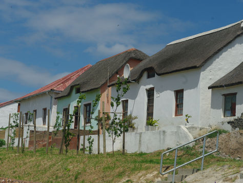 Afrique du Sud : route des vins, anciens lieux d'esclavage, l'histoire du pays nous prend aux tripes