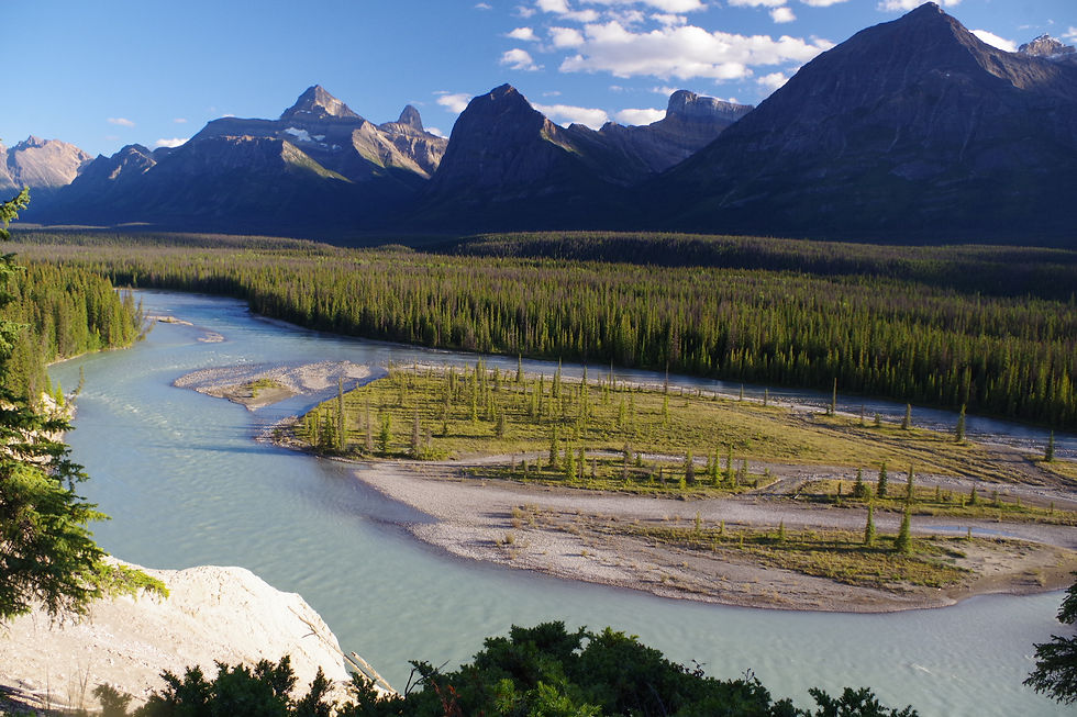 rivière Athabasca